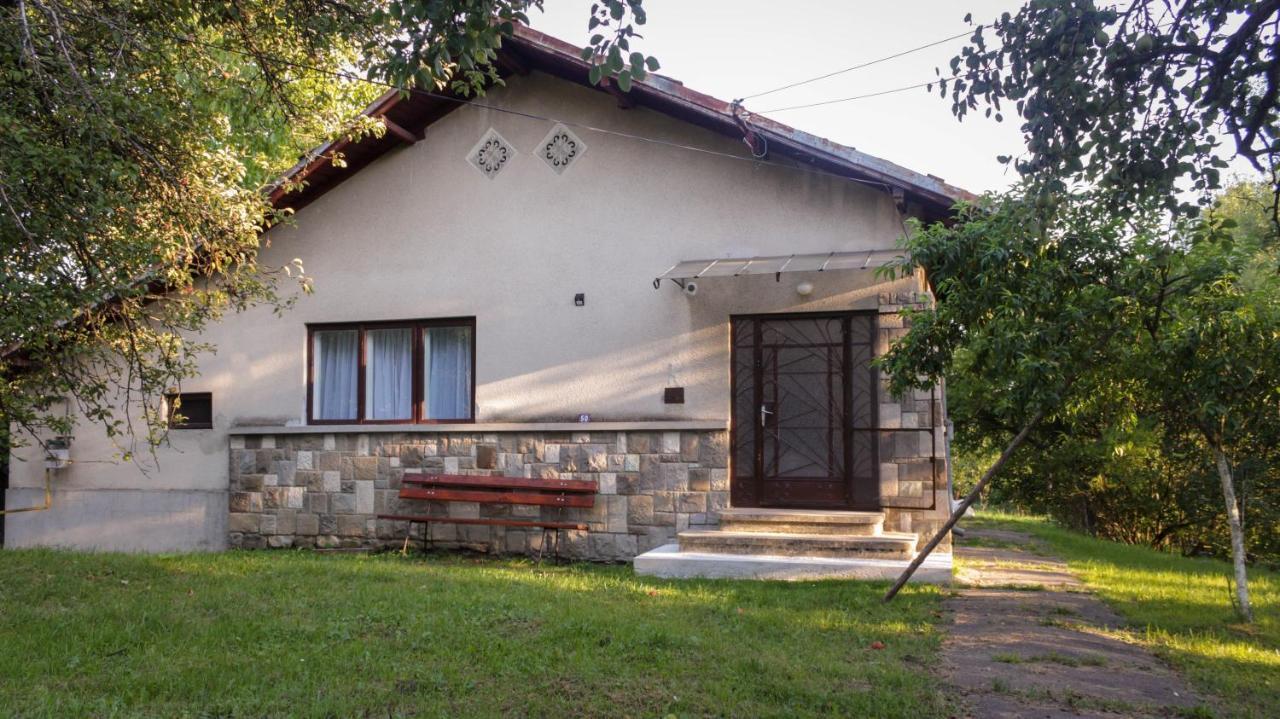 Casa Rurala Cu Livada Lavandra 坎皮纳 外观 照片