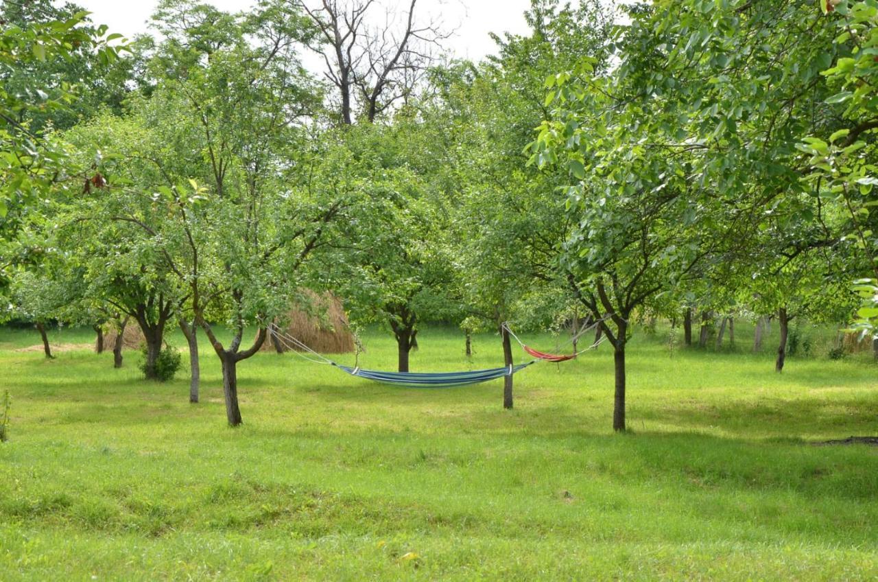 Casa Rurala Cu Livada Lavandra 坎皮纳 外观 照片